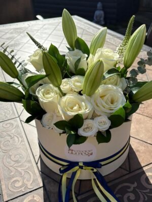 Hat Box 1