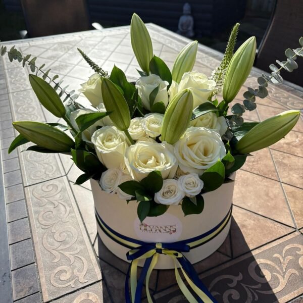 Hat Box 1